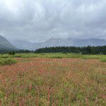 Great Divide Trail – Section G