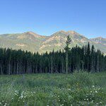 Great Divide Trail – Section B